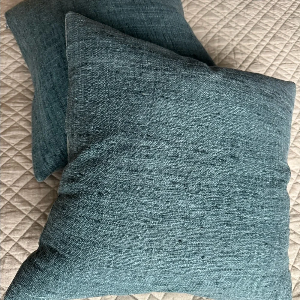 Trevino Teal Pillow with Feather-Down Insert 20